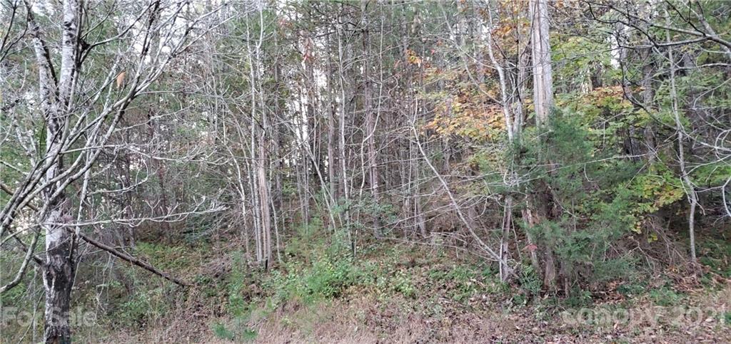 5580 Adako Road, Unit 9 Lenoir, NC 28645 - Photo 23 of 24