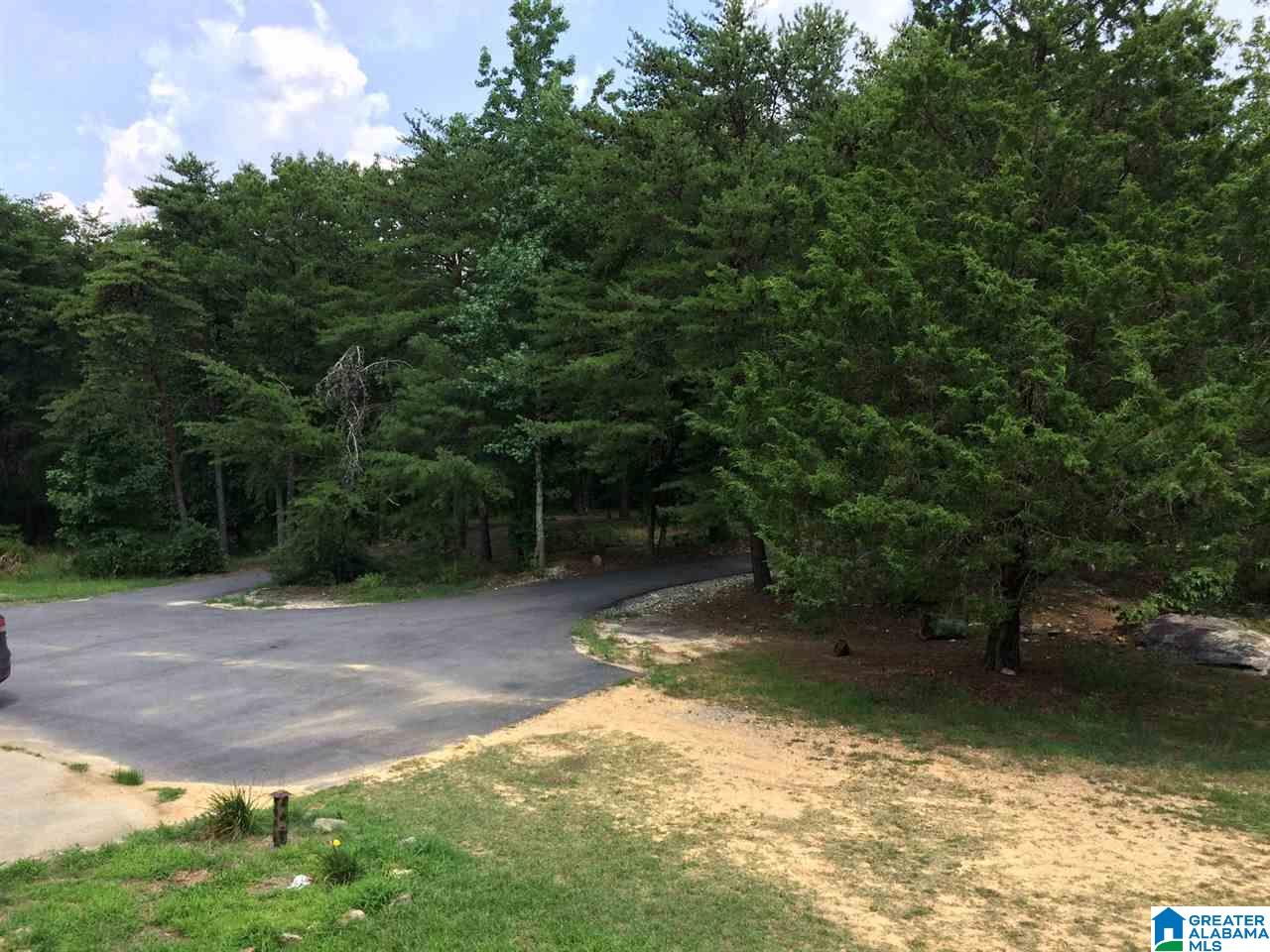 720 Mountain Ridge Road Oneonta, AL 35121 - Photo 15 of 47