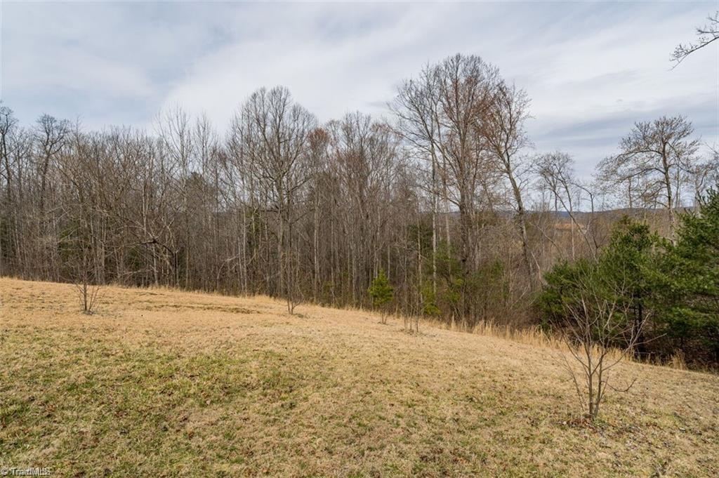 1813 Fish Lake Road Cana, VA 24317 - Photo 41 of 46 Gallery Image 41