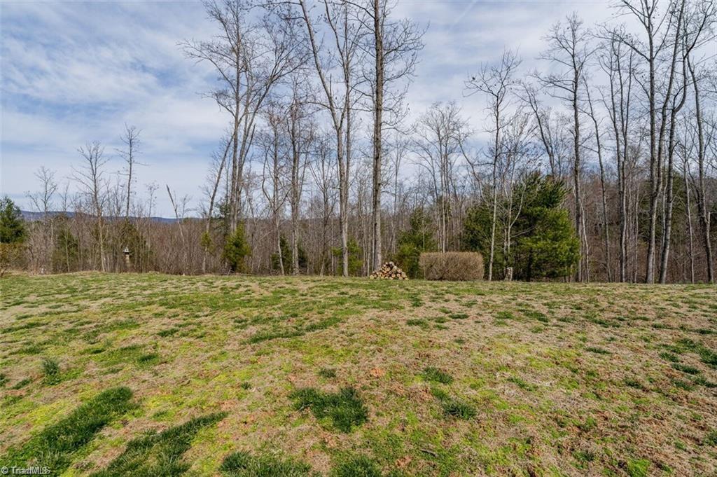 1813 Fish Lake Road Cana, VA 24317 - Photo 42 of 46 Gallery Image 42