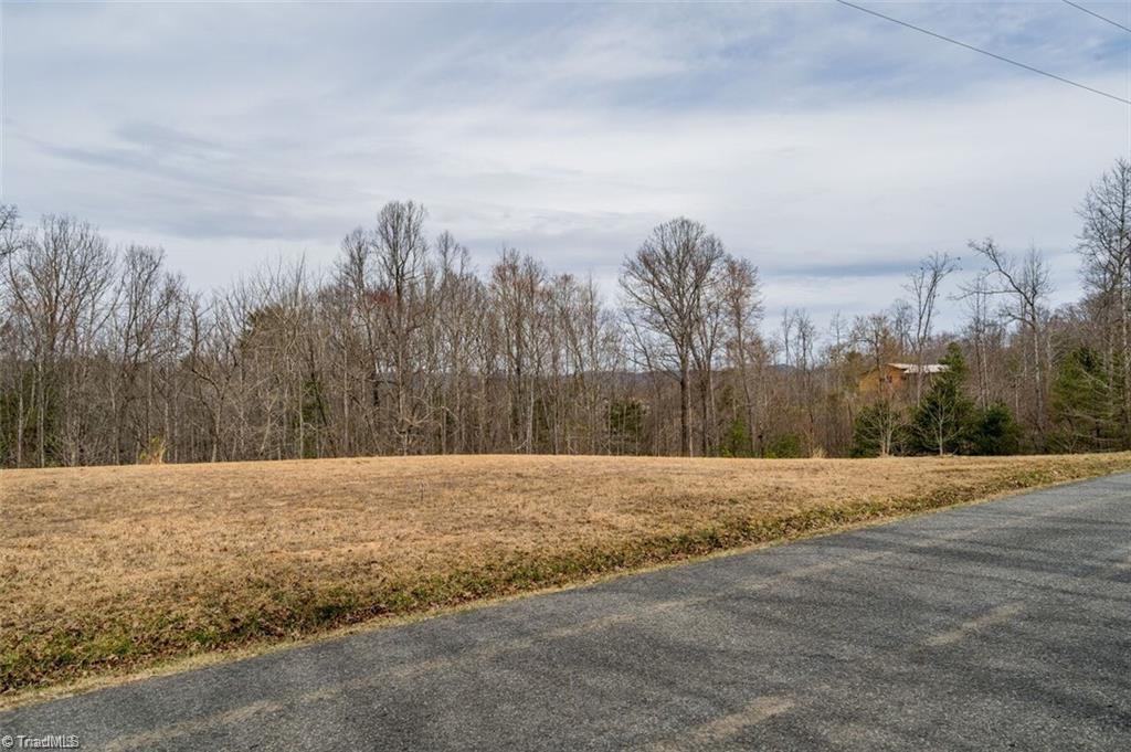 1813 Fish Lake Road Cana, VA 24317 - Photo 43 of 46 Gallery Image 43