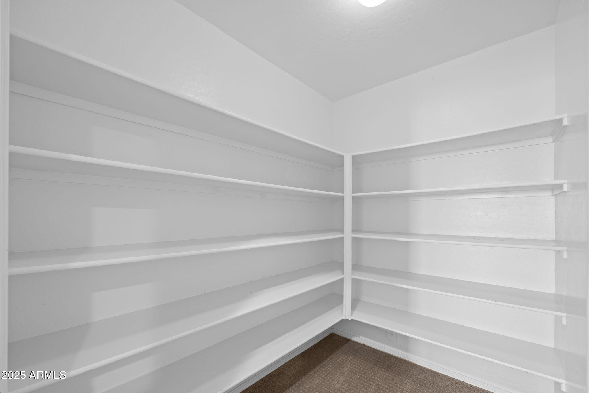 19700 North 76th Street, Unit 1040 Scottsdale, AZ 85255 - Photo 15 of 30 a view of walk in closet with empty racks