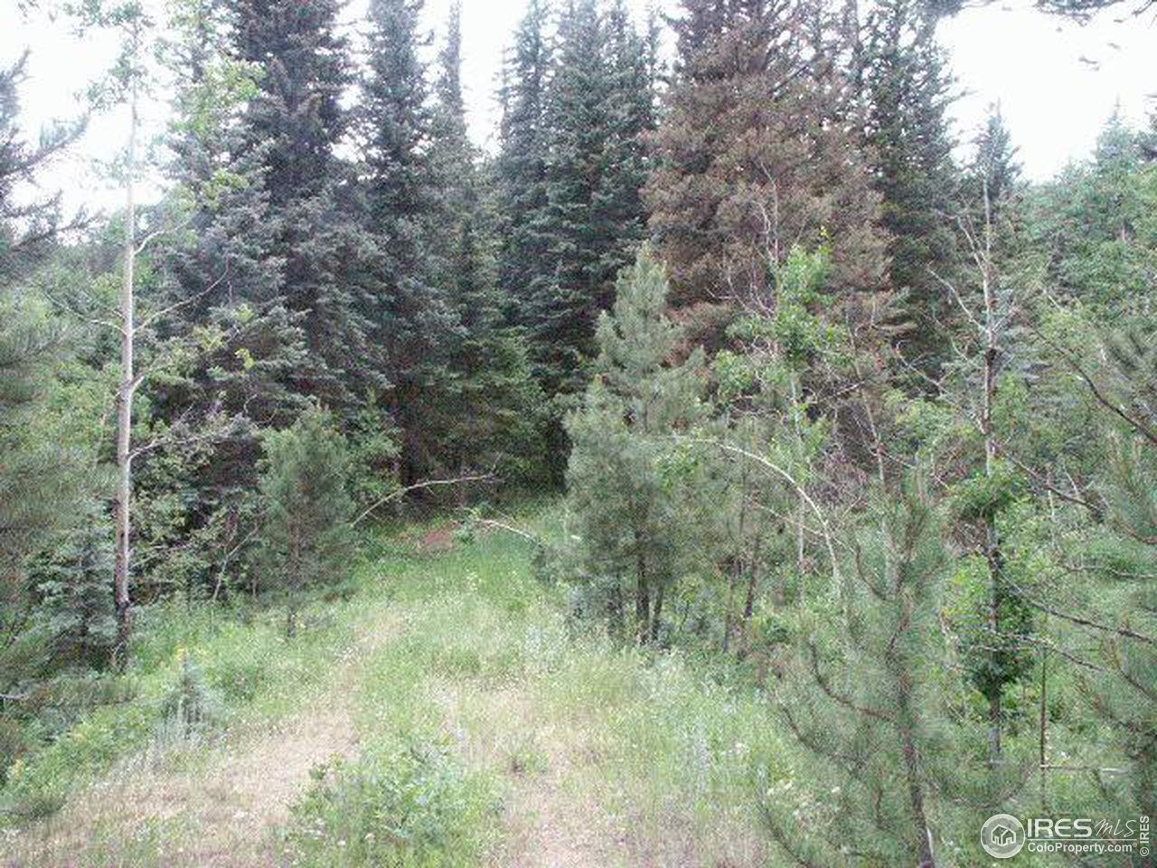 1500 Cold Springs Road Boulder, CO 80302 - Photo 3 of 6 Gallery Image 3