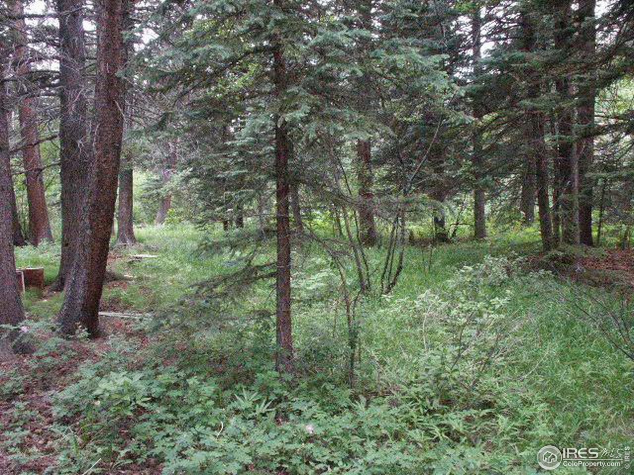 1500 Cold Springs Road Boulder, CO 80302 - Photo 6 of 6 Gallery Image 6