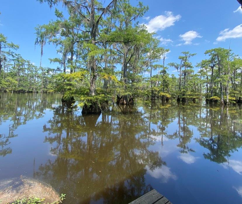 635 Pardee Road Campti, LA 71411 - Photo 19 of 22 Gallery Image 19