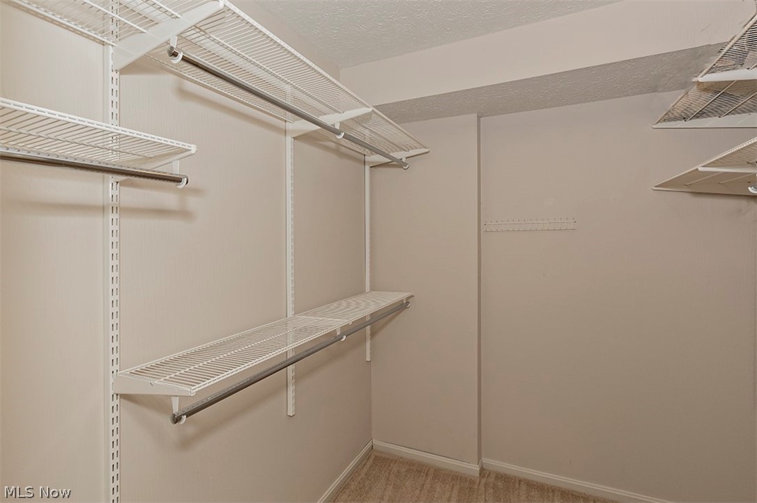 11390 Butternut Road Chardon, OH 44024 - Photo 12 of 21 Finished walk-in closet in the master suite