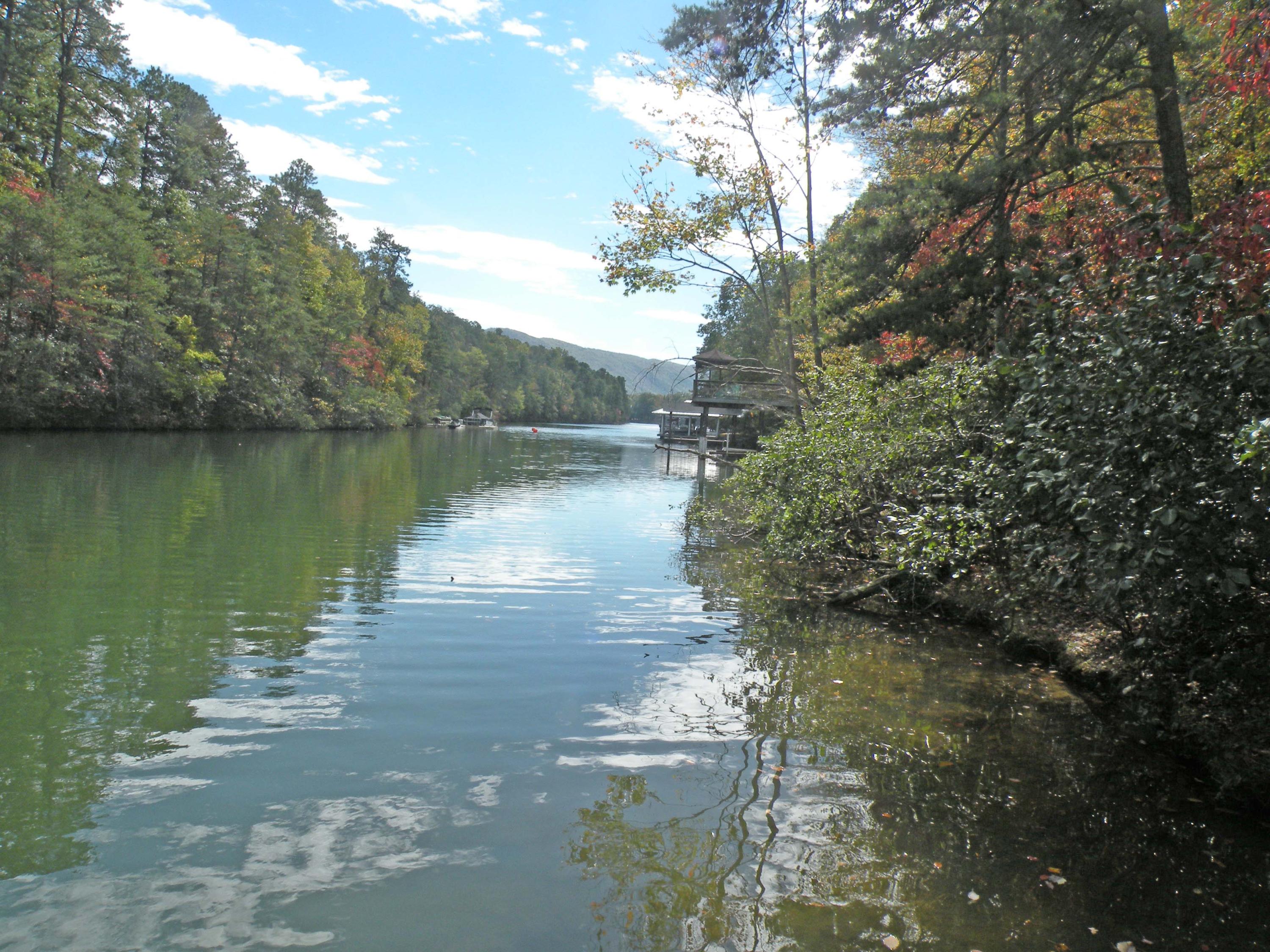 118 Thunder Ridge Road Huddleston, VA 24104 - Photo 2 of 44 View out the cove