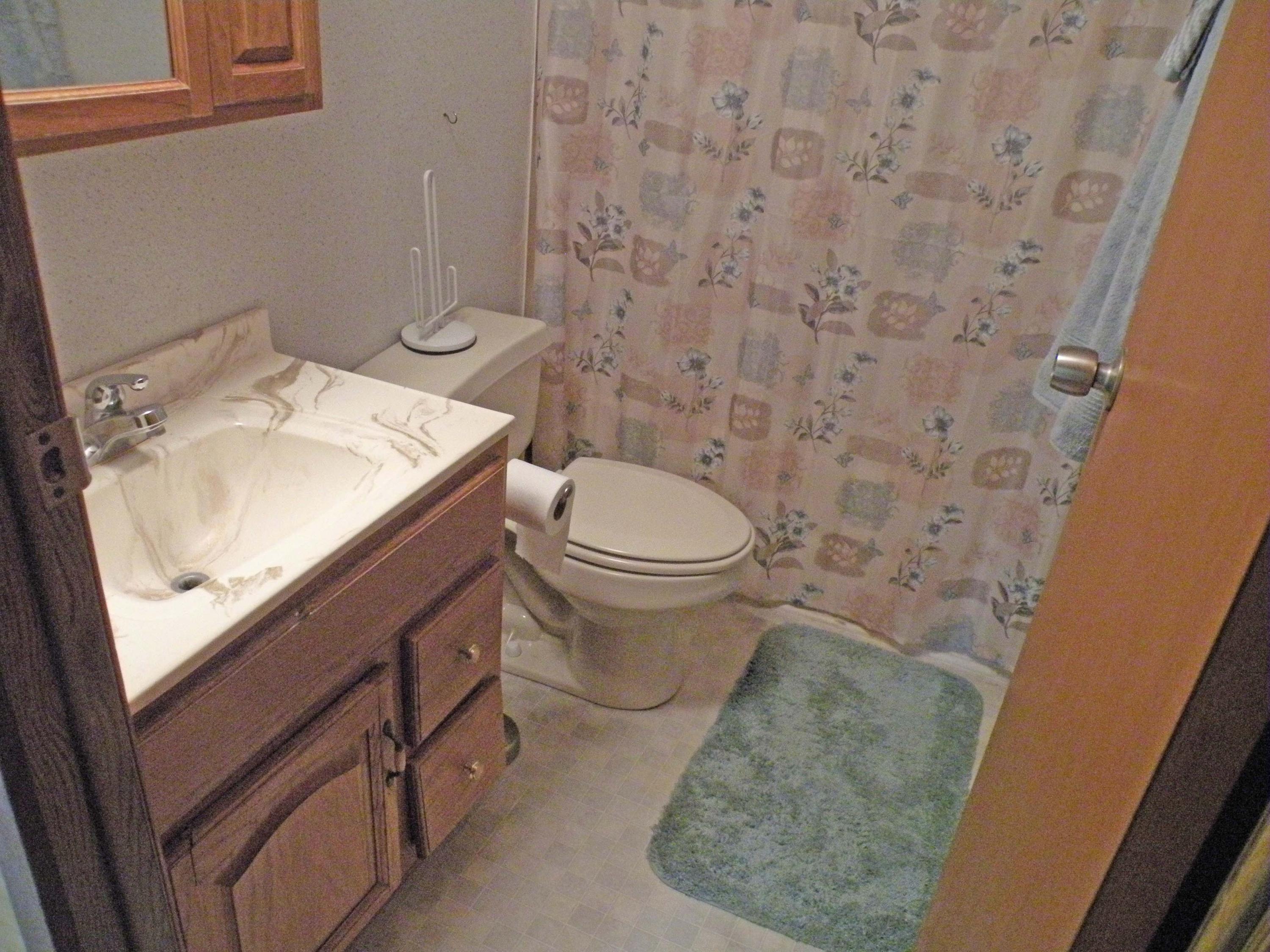 118 Thunder Ridge Road Huddleston, VA 24104 - Photo 20 of 44 Hall Bath