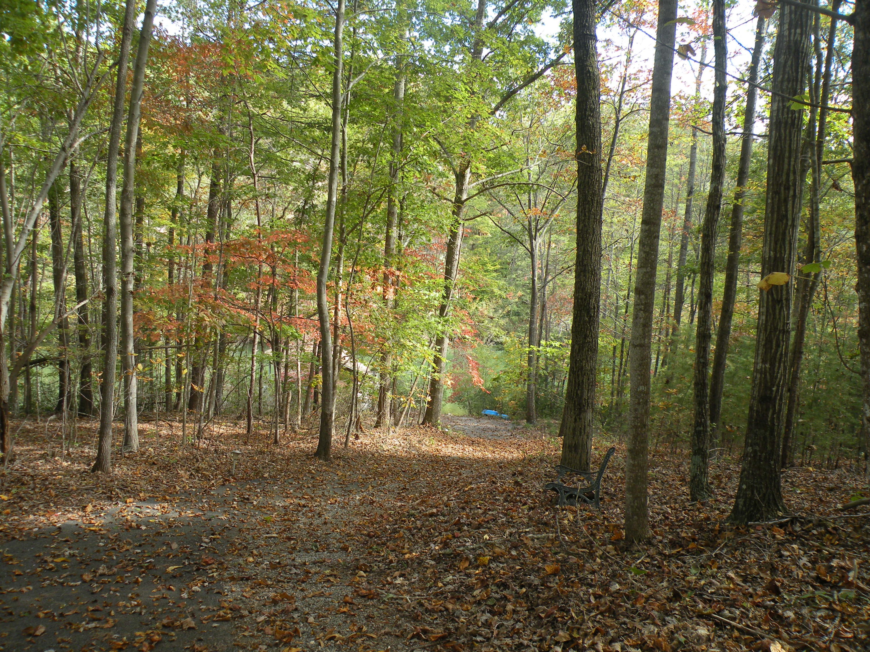 118 Thunder Ridge Road Huddleston, VA 24104 - Photo 5 of 44 Walkway