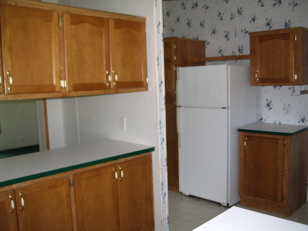 11146 Johnson Road Brethren, MI 49619 - Photo 11 of 60 1800705-10.JPG