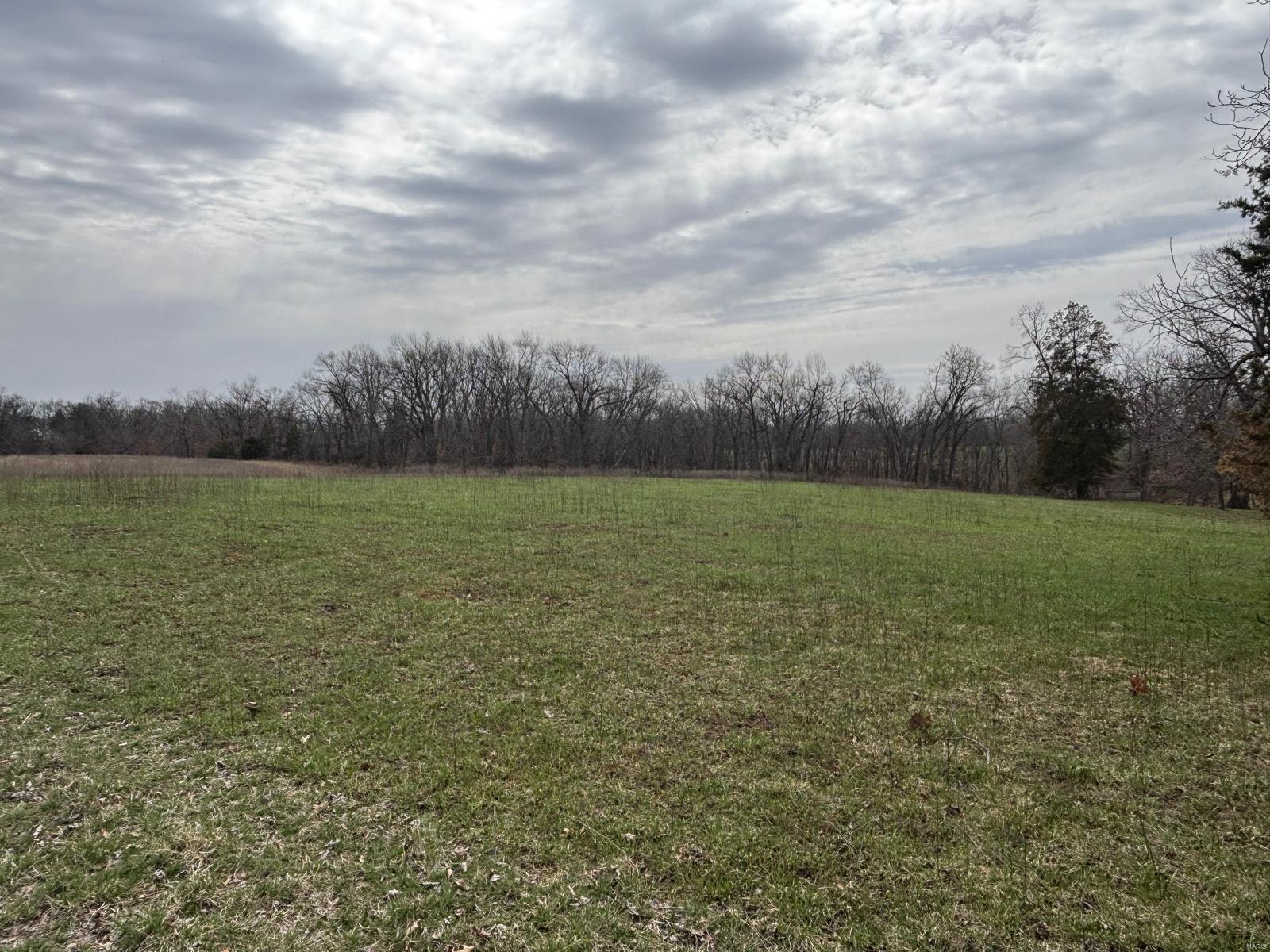 7 Berry Place Monroe City, MO 63456 - Photo 3 of 3