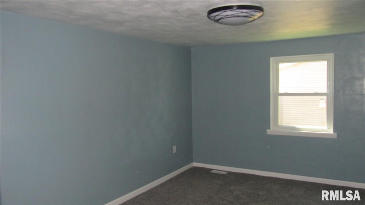308 3rd Avenue Hampton, IL 61256 - Photo 11 of 23 Gallery Image 11