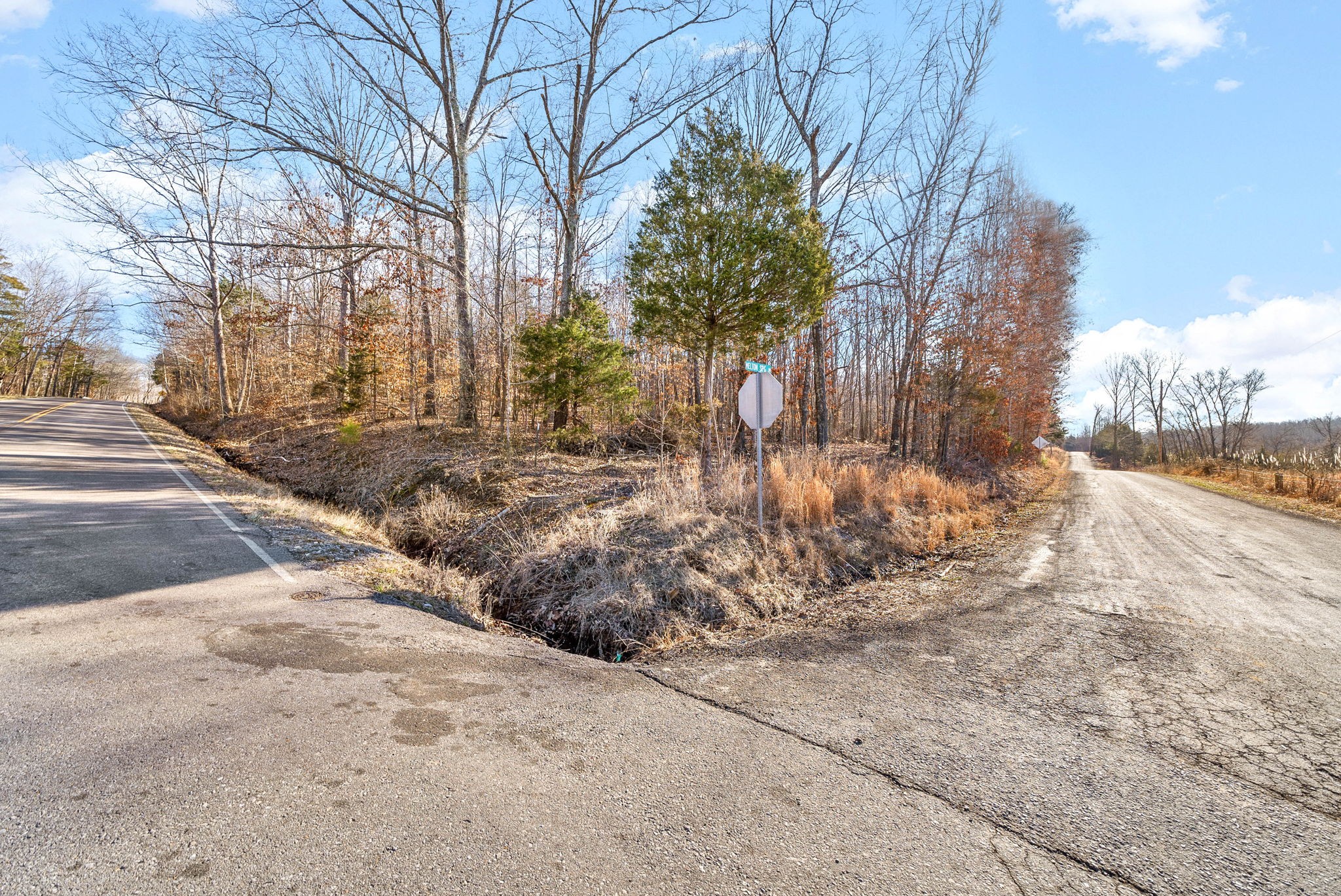 0 Bumpus Mills Road Big Rock, TN 37023 - Photo 3 of 15 Gallery Image 3