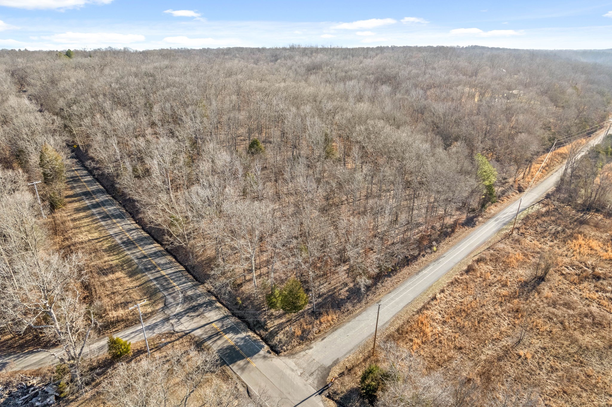 0 Bumpus Mills Road Big Rock, TN 37023 - Photo 7 of 15 Gallery Image 7