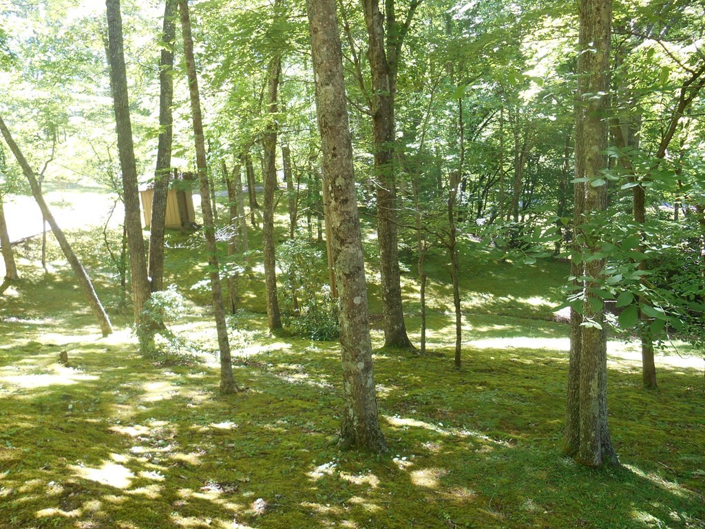 2225 Grassy Branch Road Sevierville, TN 37876 - Photo 8 of 28 Gallery Image 8