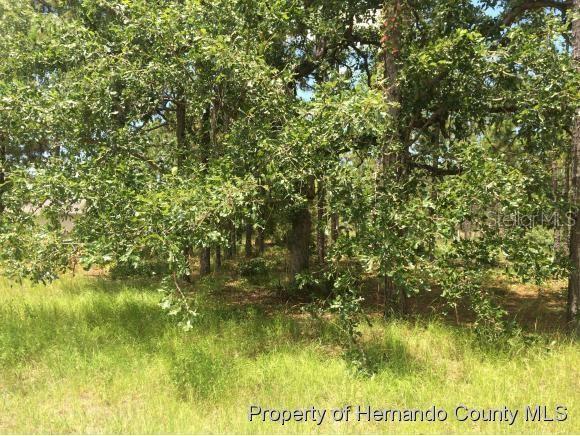 15339 Green Jay Road Weeki Wachee, FL 34614 - Photo 1 of 1 Gallery Image 1