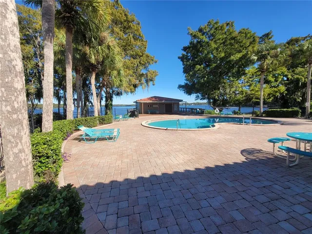 a view of a yard with plants and trees