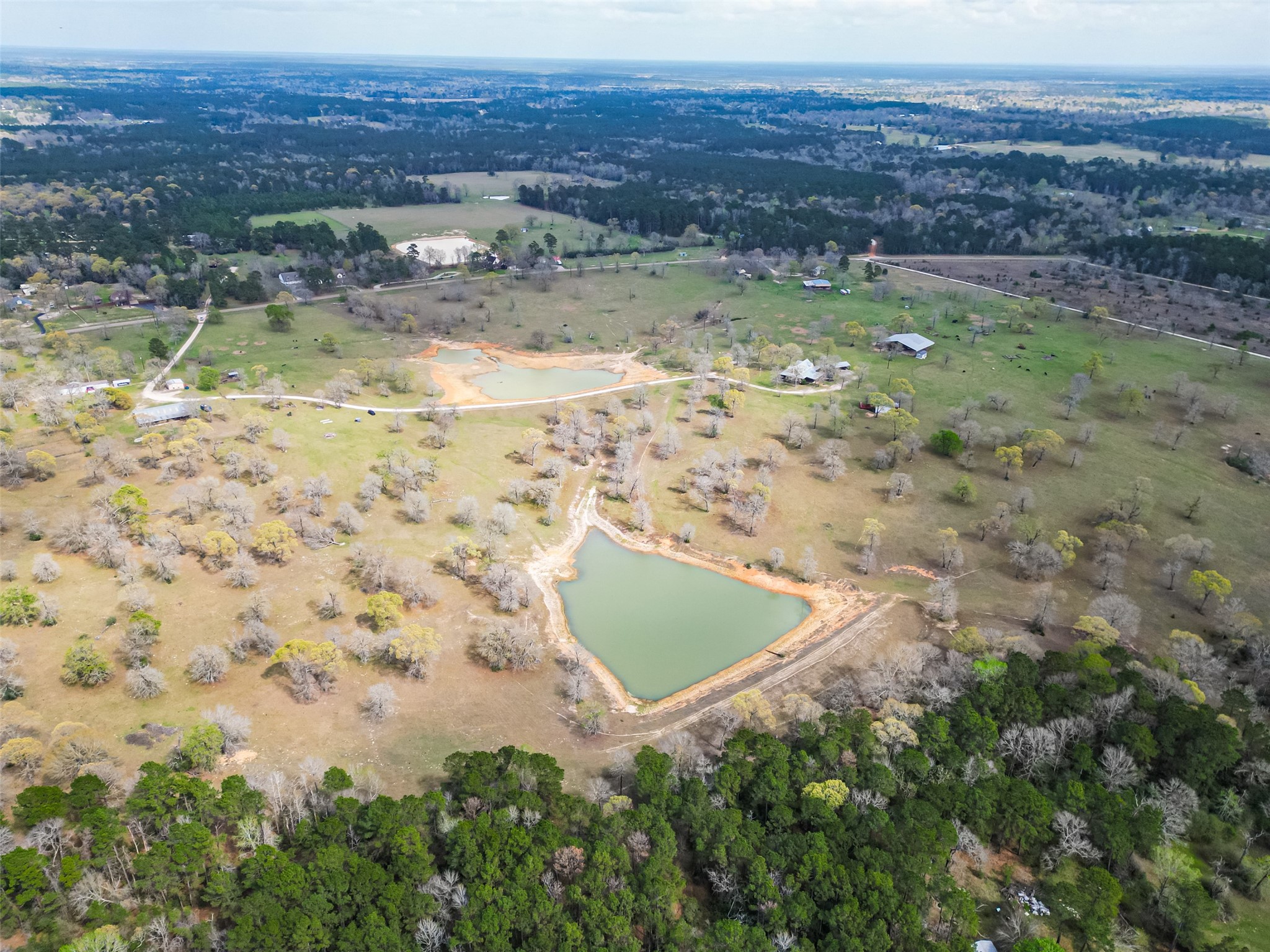 0 Clint Parker Road Conroe, TX 77303 - Photo 18 of 29