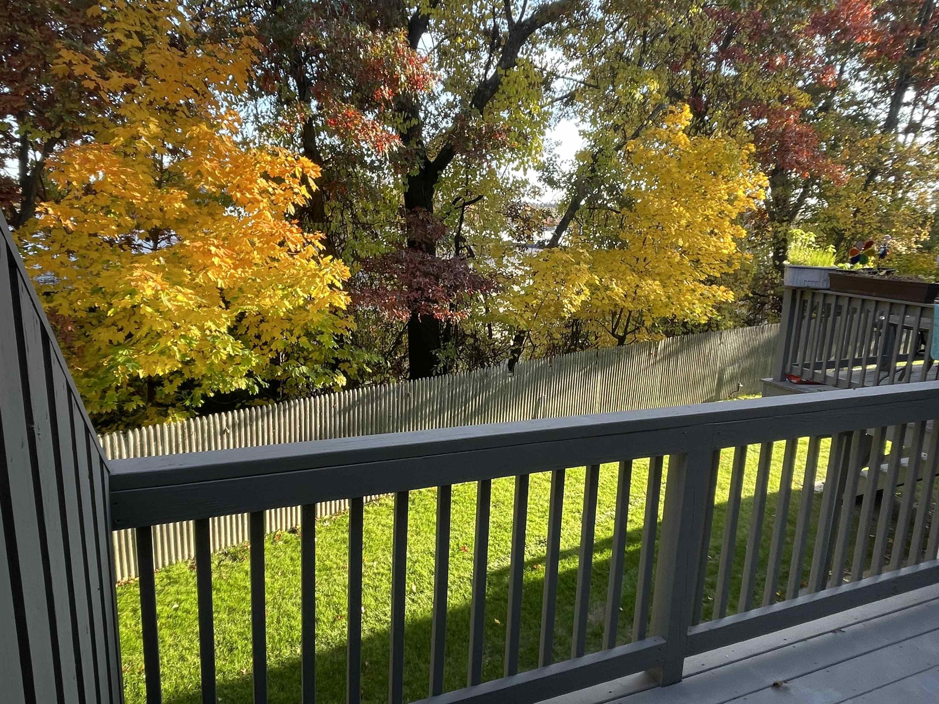 9 Profile Circle Nashua, NH 03063 - Photo 9 of 28