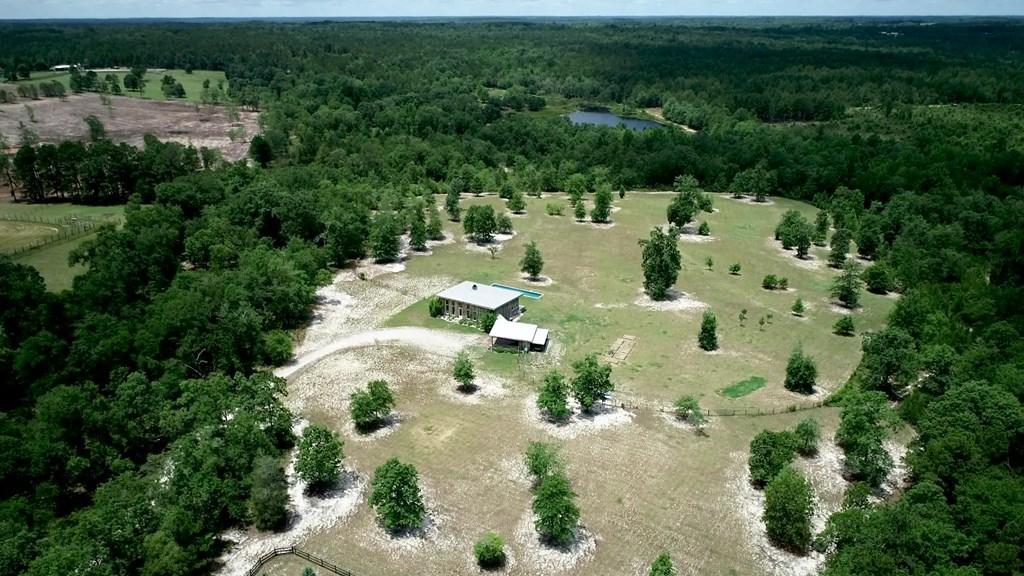 805 Boatright Hill Road Ridge Spring, SC 29129 - Photo 5 of 71 112571_4