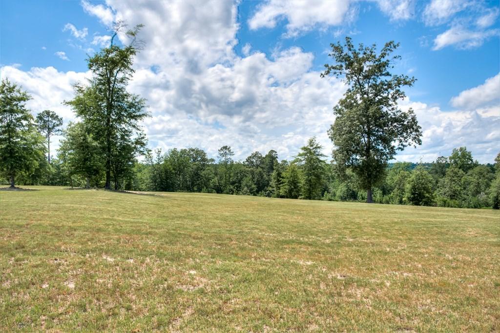 805 Boatright Hill Road Ridge Spring, SC 29129 - Photo 47 of 71 112571_46