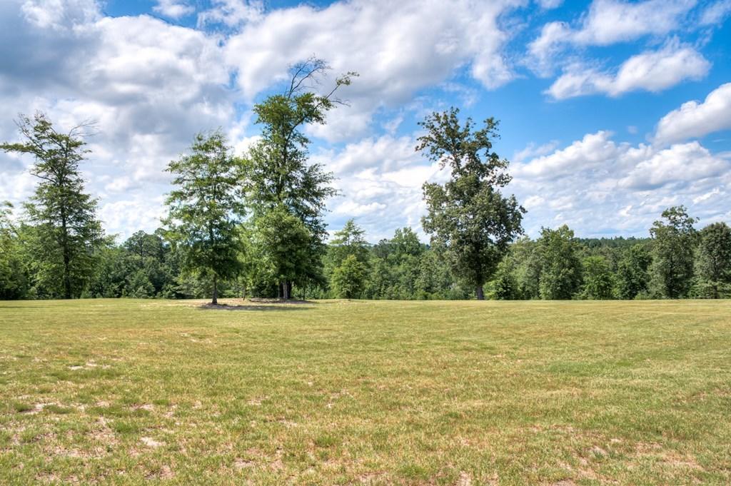 805 Boatright Hill Road Ridge Spring, SC 29129 - Photo 49 of 71 112571_48