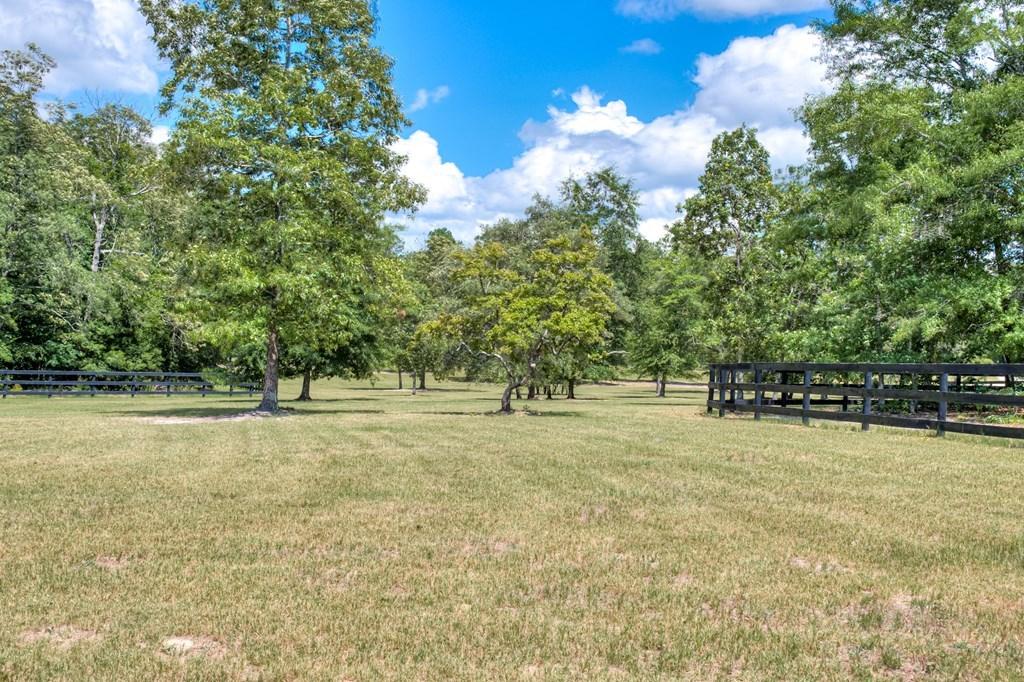 805 Boatright Hill Road Ridge Spring, SC 29129 - Photo 58 of 71 112571_57
