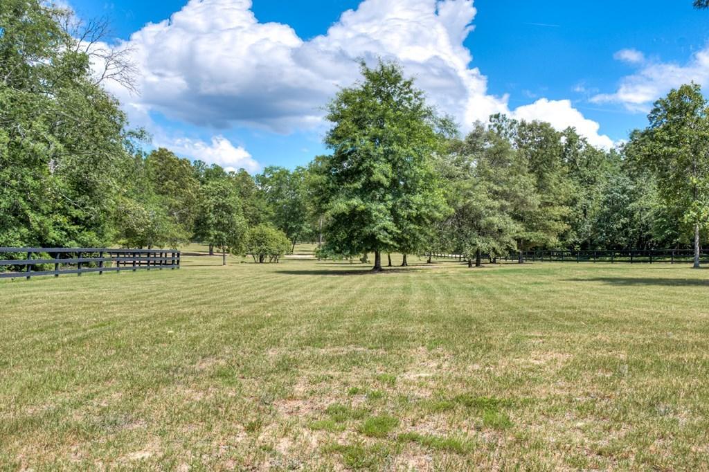 805 Boatright Hill Road Ridge Spring, SC 29129 - Photo 59 of 71 112571_59