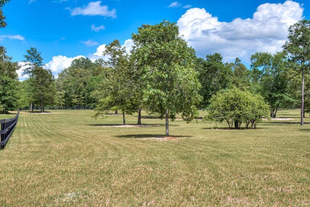 805 Boatright Hill Road Ridge Spring, SC 29129 - Photo 60 of 71 112571_60