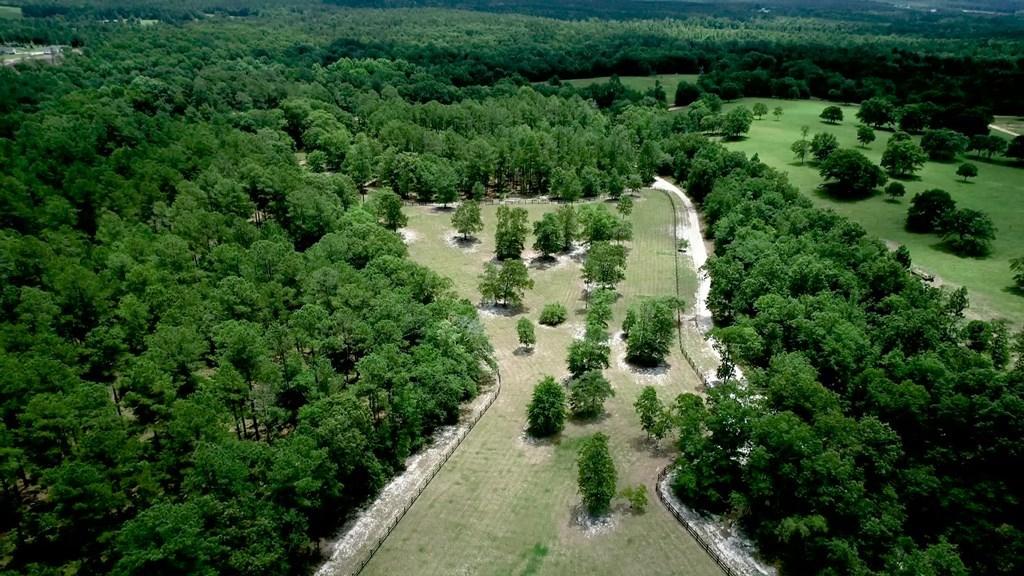 805 Boatright Hill Road Ridge Spring, SC 29129 - Photo 7 of 71 112571_6