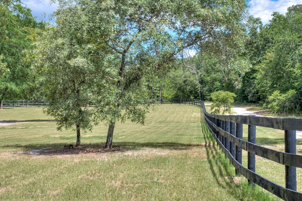 805 Boatright Hill Road Ridge Spring, SC 29129 - Photo 62 of 71 112571_62