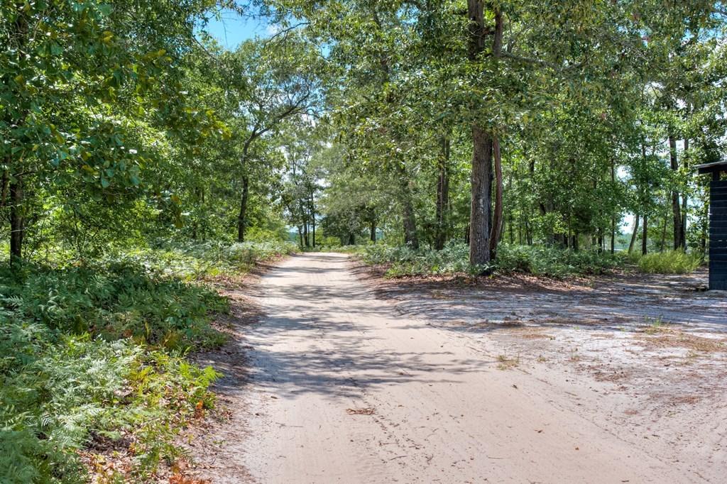 805 Boatright Hill Road Ridge Spring, SC 29129 - Photo 63 of 71 112571_63
