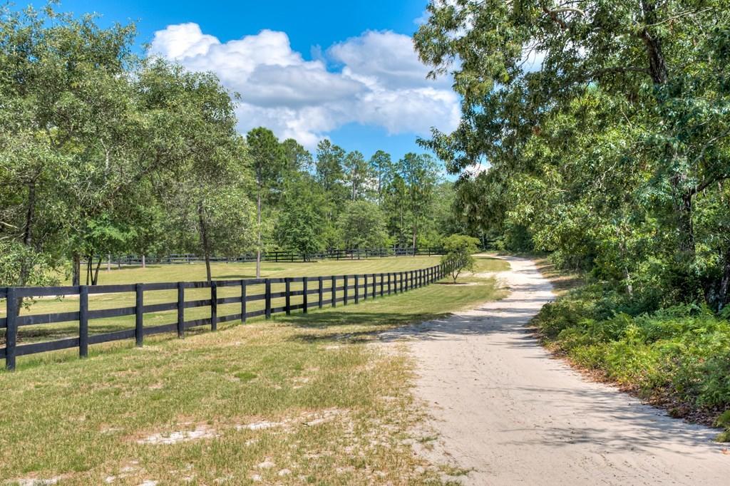 805 Boatright Hill Road Ridge Spring, SC 29129 - Photo 64 of 71 112571_64