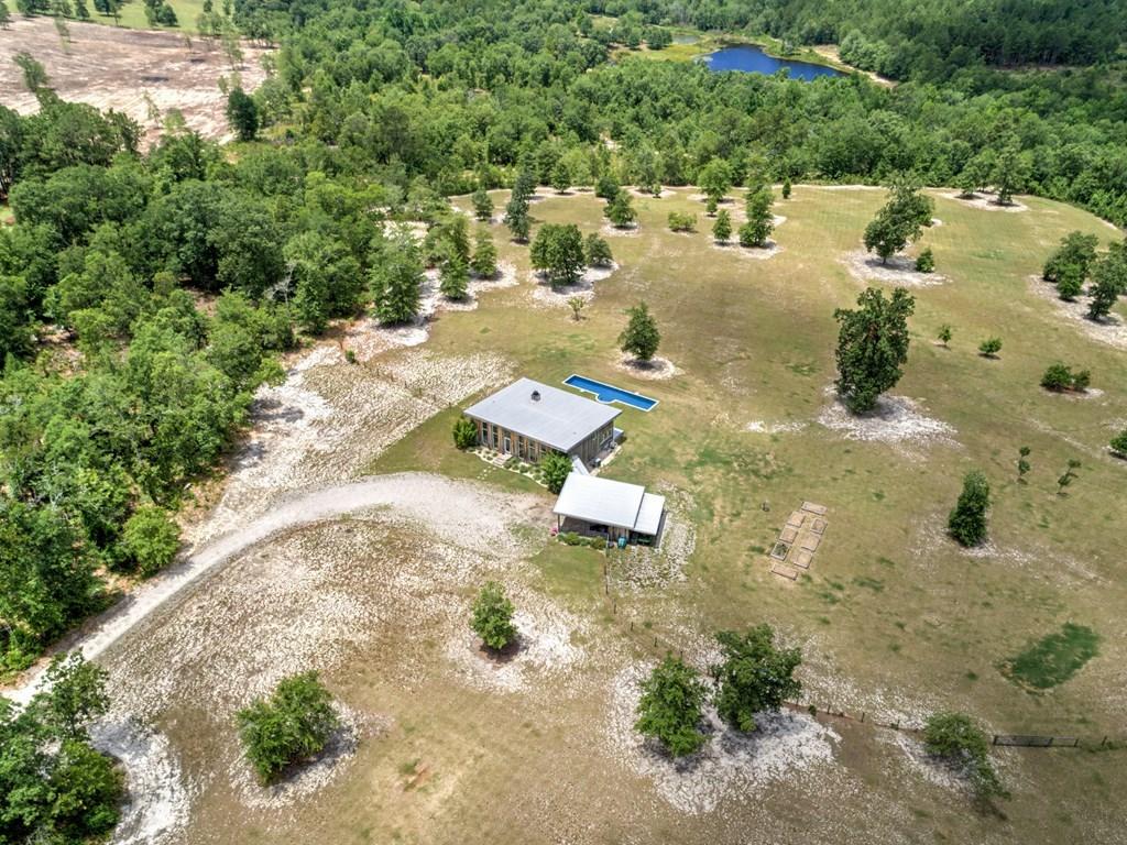 805 Boatright Hill Road Ridge Spring, SC 29129 - Photo 10 of 71 112571_9