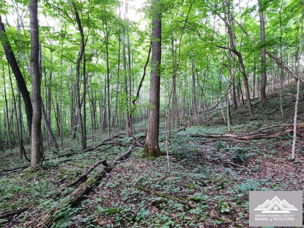 900 Hayes Valley Road Princeton, WV 24739 - Photo 4 of 36 Gallery Image 4