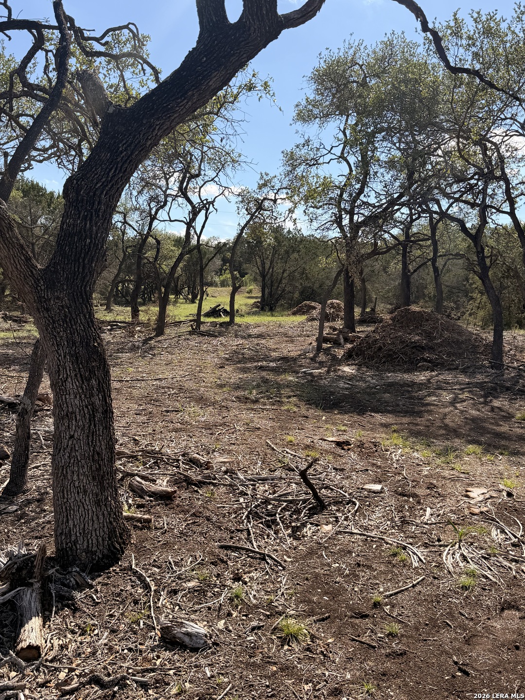 247 Restless Wind Spring Branch, TX 78070 - Photo 10 of 13