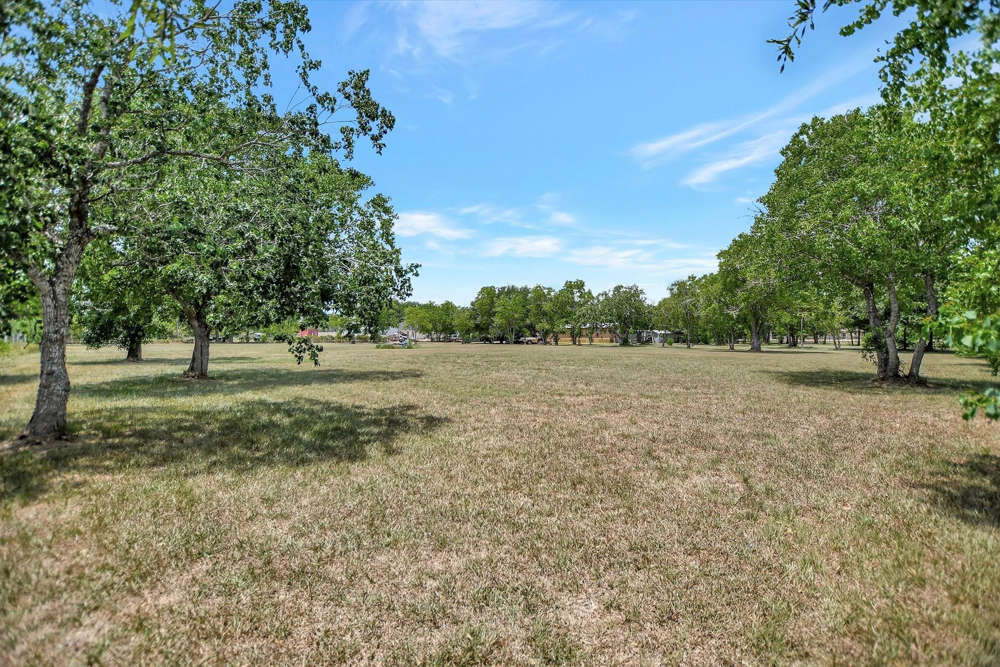 29115 Cherokee Lane Waller, TX 77484 - Photo 41 of 50 Spacious open field with scattered trees, perfect for privacy and outdoor activities. The area is well-maintained, offering a peaceful, natural setting ideal for a home site.