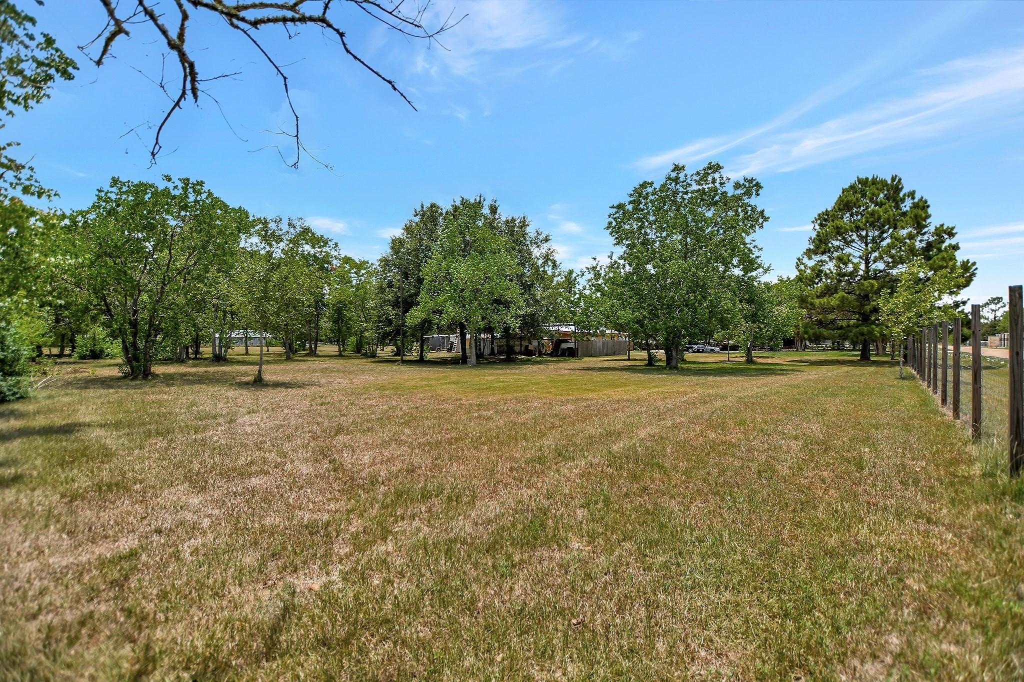 29115 Cherokee Lane Waller, TX 77484 - Photo 43 of 50 Spacious, open grassy lot with scattered mature trees, offering a serene, natural setting. Perfect for privacy and outdoor activities.