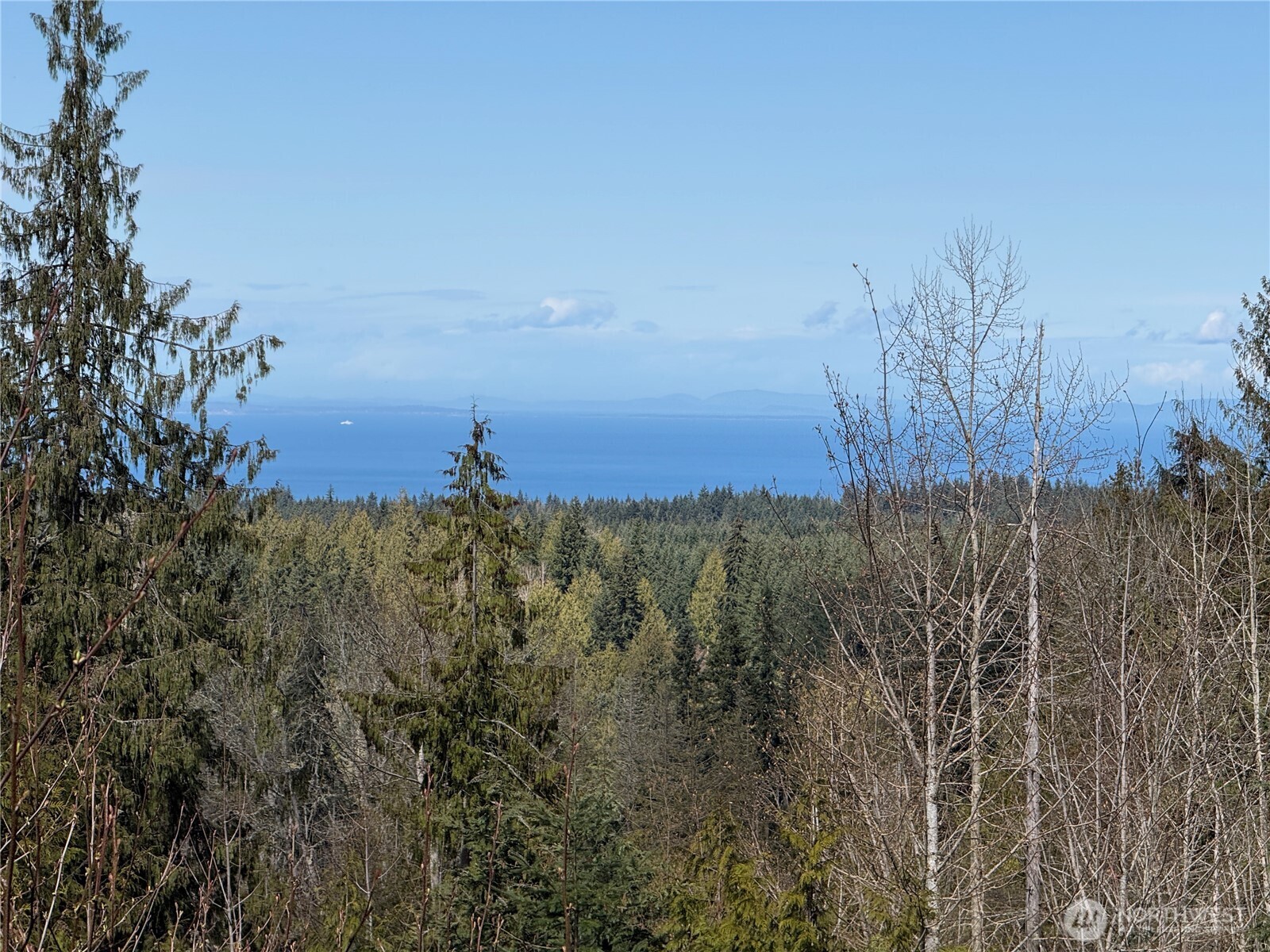 445 Watershed Road Port Angeles, WA 98362 - Photo 12 of 30