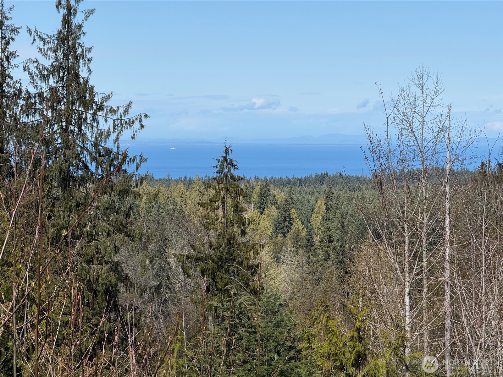 445 Watershed Road Port Angeles, WA 98362 - Photo 14 of 30