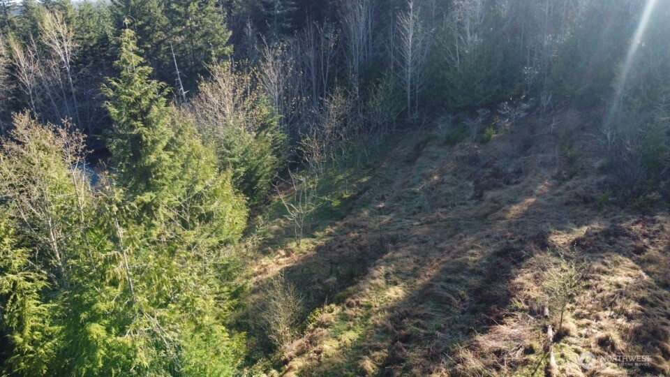 445 Watershed Road Port Angeles, WA 98362 - Photo 16 of 30