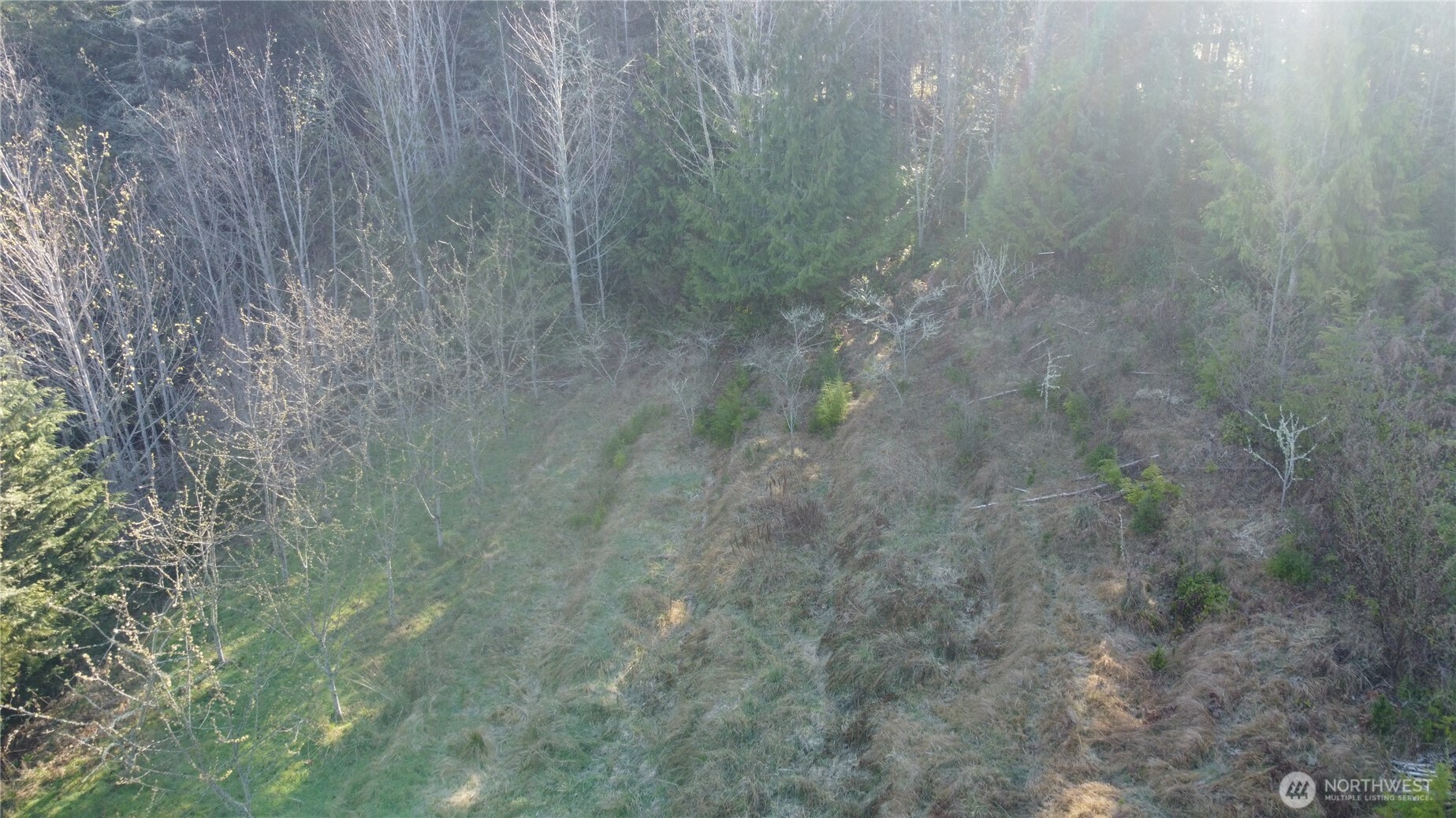 445 Watershed Road Port Angeles, WA 98362 - Photo 17 of 30