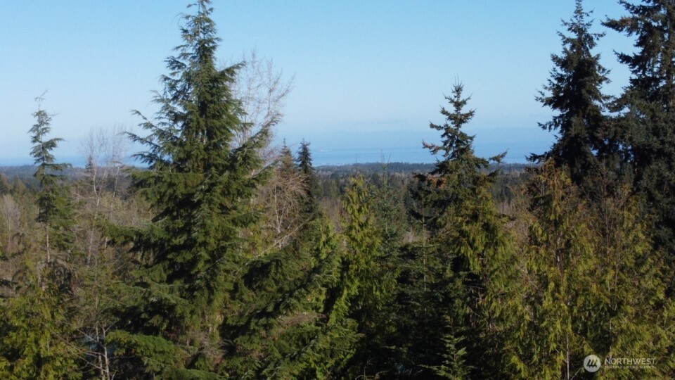 445 Watershed Road Port Angeles, WA 98362 - Photo 19 of 30