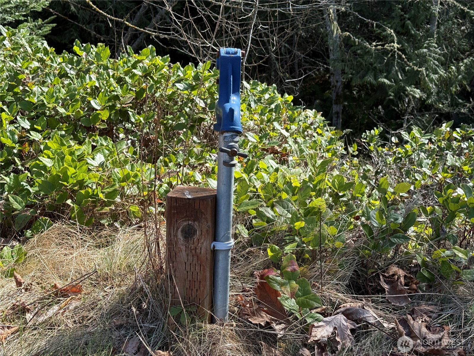 445 Watershed Road Port Angeles, WA 98362 - Photo 23 of 30