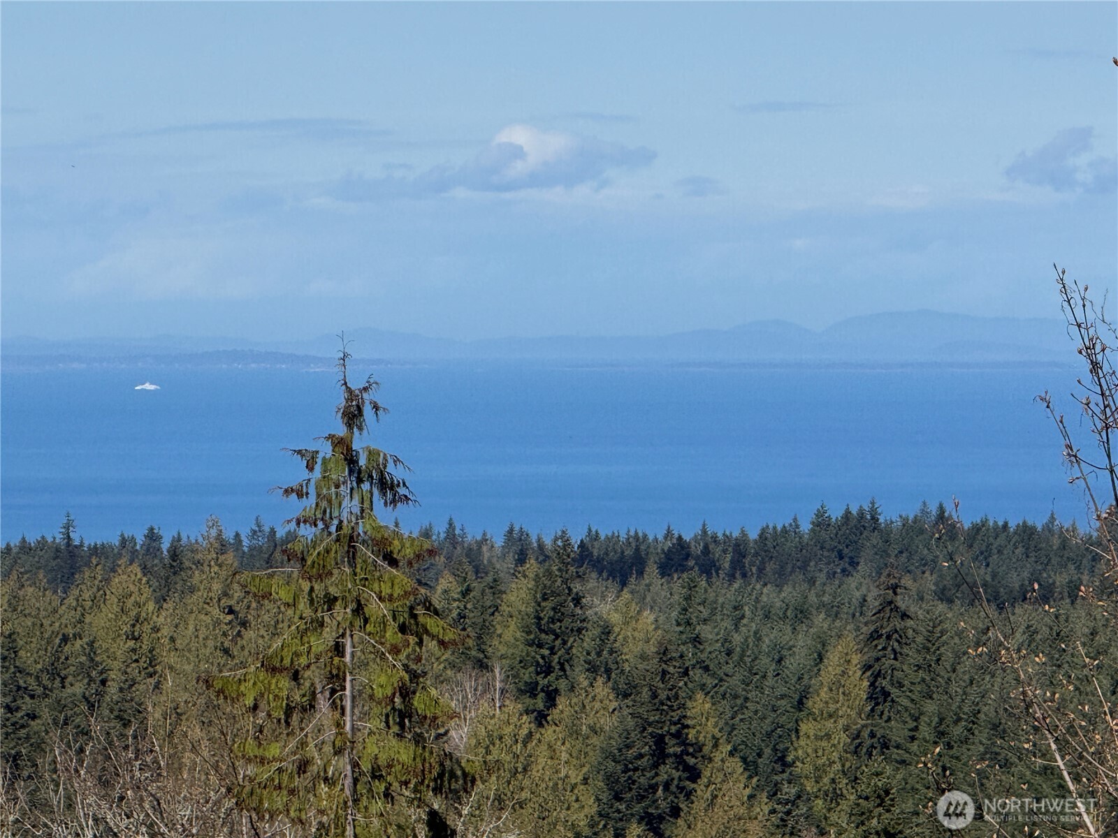 445 Watershed Road Port Angeles, WA 98362 - Photo 29 of 30