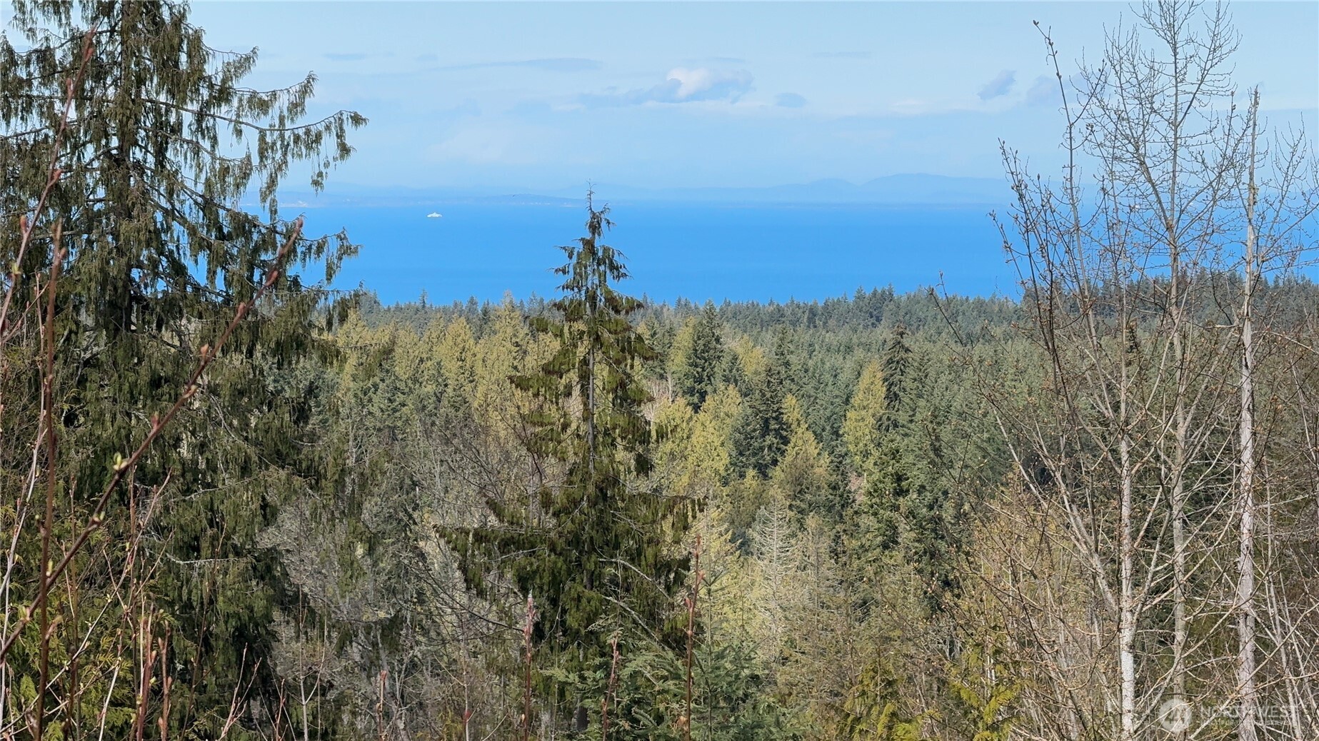 445 Watershed Road Port Angeles, WA 98362 - Photo 5 of 30