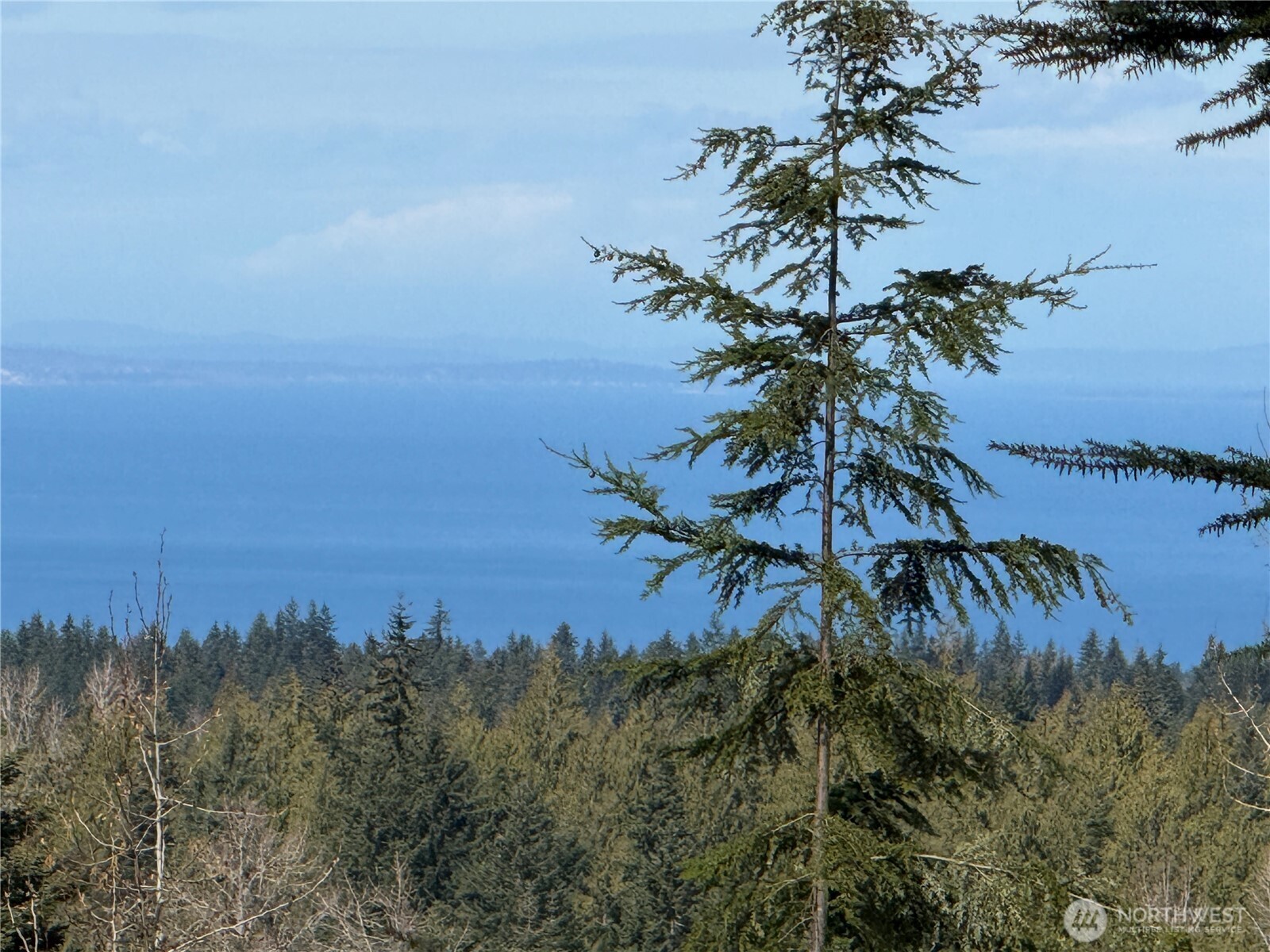 445 Watershed Road Port Angeles, WA 98362 - Photo 9 of 30