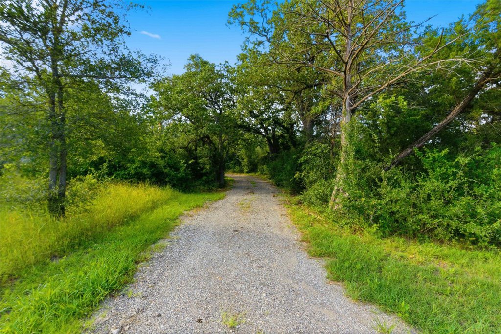 211 Webberwood Way Elgin, TX 78621 - Photo 8 of 10 A tranquil gravel drive winds through a canopy of mature trees and verdant foliage.