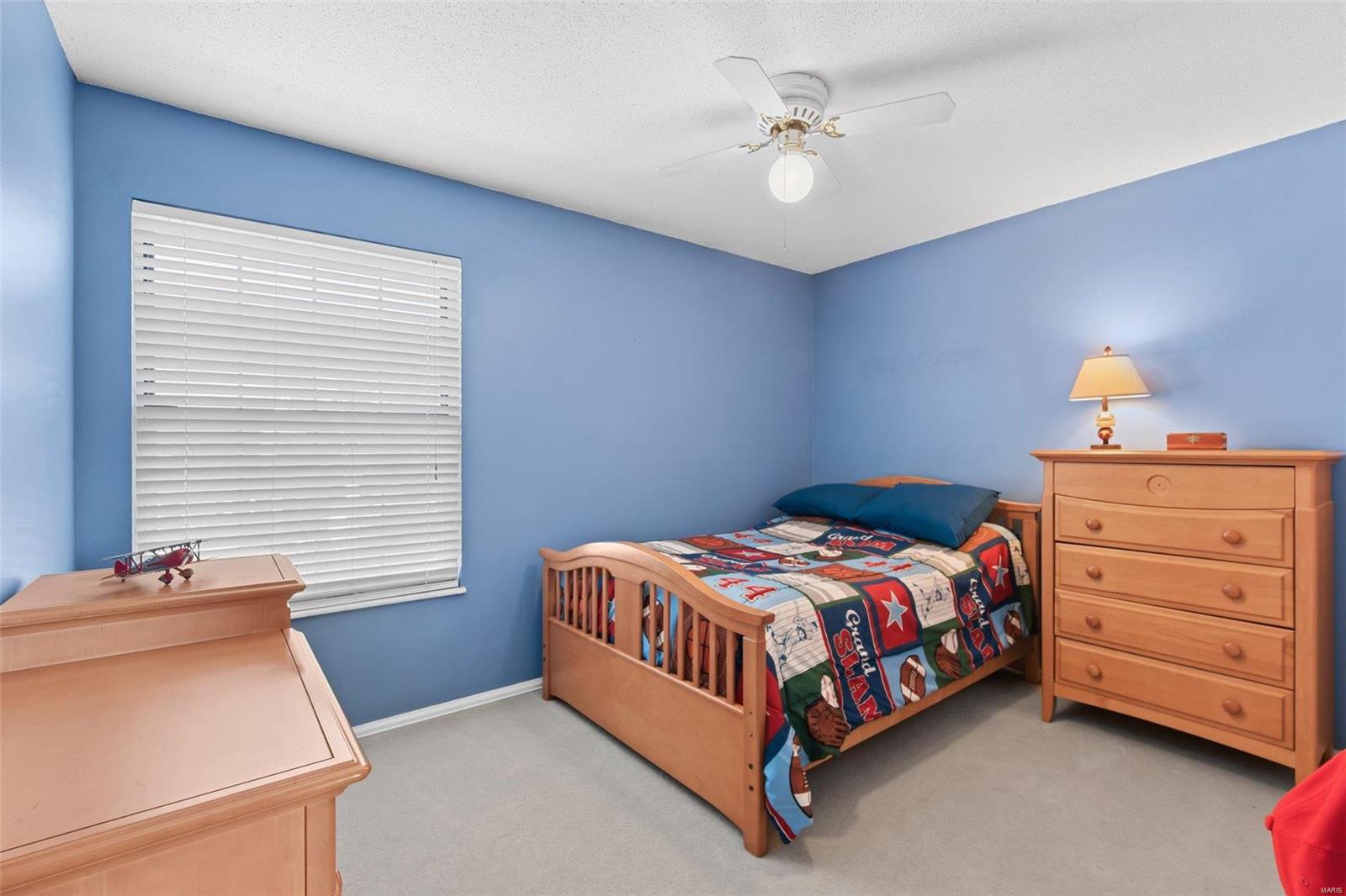 7 Connemara Road St. Peters, MO 63376 - Photo 28 of 40