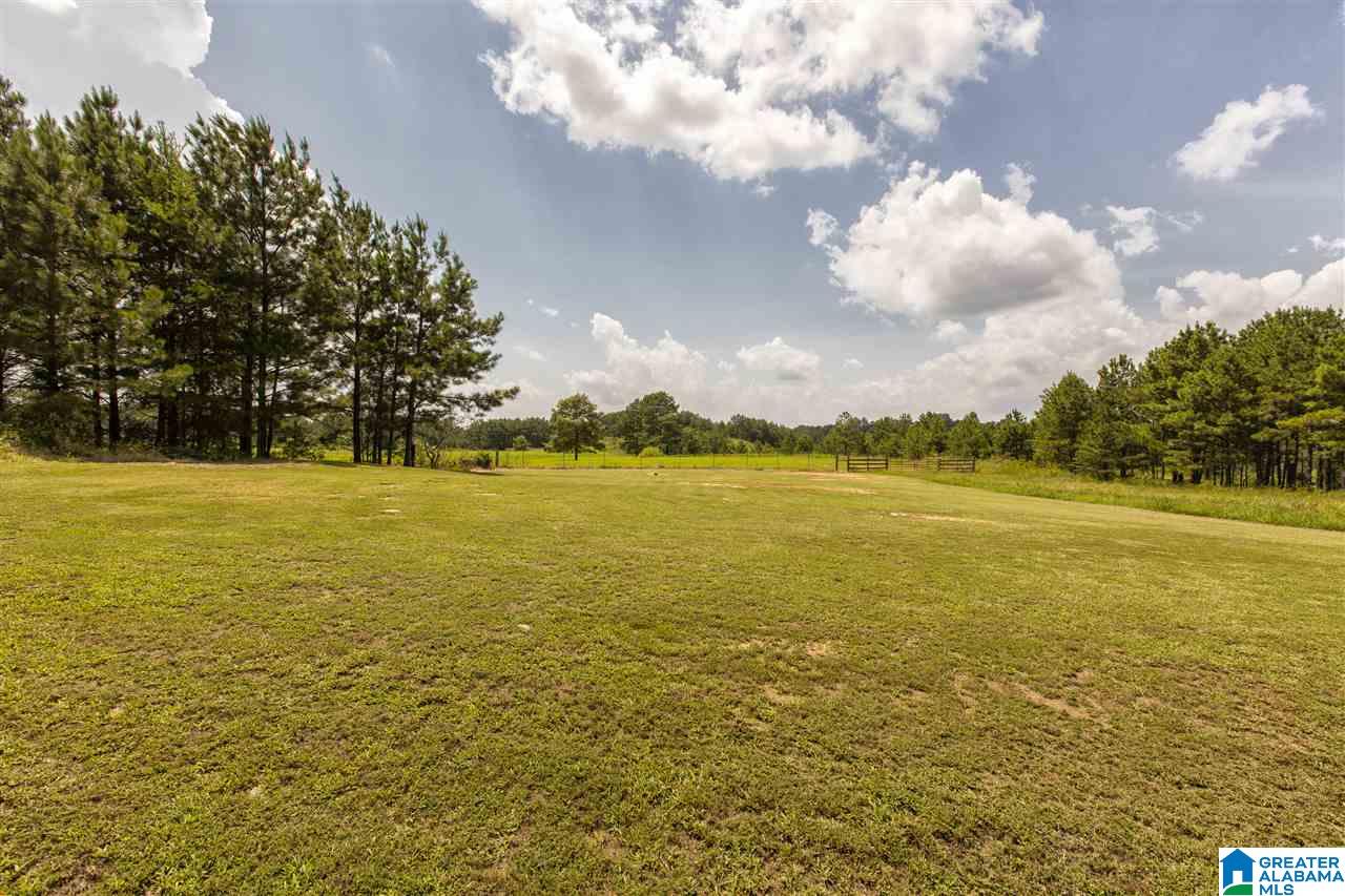 586 Buddy Vines Camp Road Bessemer, AL 35023 - Photo 4 of 50